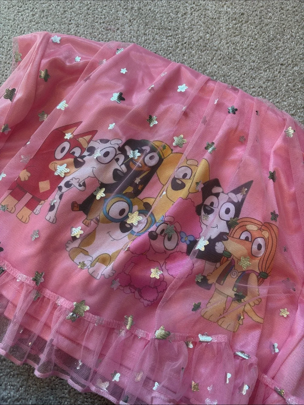 Pink Bluey & Bingo Tulle Nightgown Dress for Kids